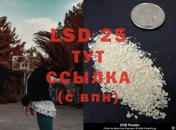 MESCALINE Богданович