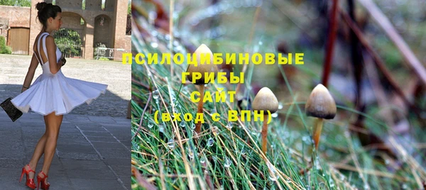 прущие крисы Белоозёрский