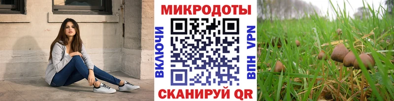 Купить  Устюжна  Галлюциногенные грибы MAGIC MUSHROOMS 