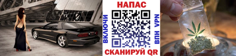 Канабис план  Купить закладки  Устюжна 